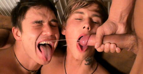 Sexy guys Kevin Warhol, Adam Archuleta and Dario Dolce have 3some anal sex