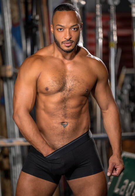 Hot americans, pretty boy Austin Avery and muscular Dillon Diaz in hot homosexual scene