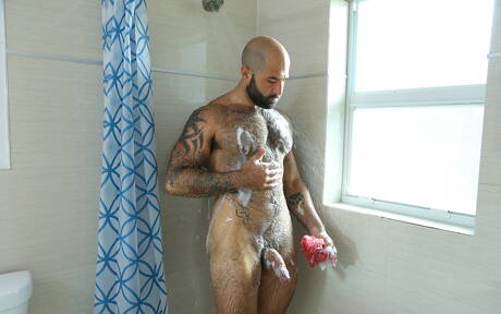 Two american dudes hot bear Atlas Grant and hairy stud Dante Drackis in hot anal sex in bathroom