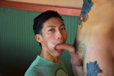 Hot american boys twink Ari Nucci and well-built David Ace have a hot sex